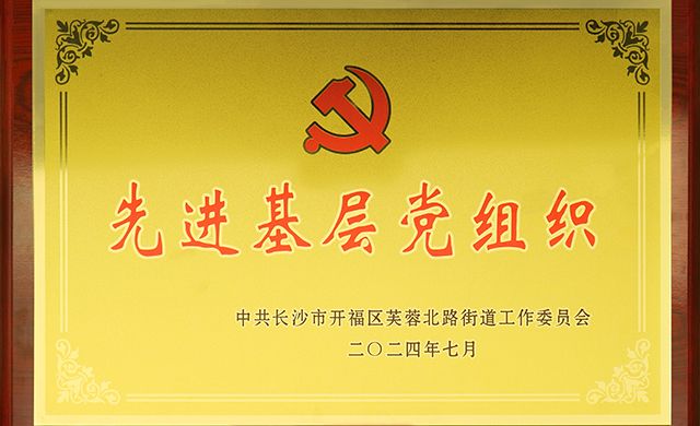 东方金典集团党支部荣获开福区芙蓉北路街道“先进基层党组织”荣誉称号
